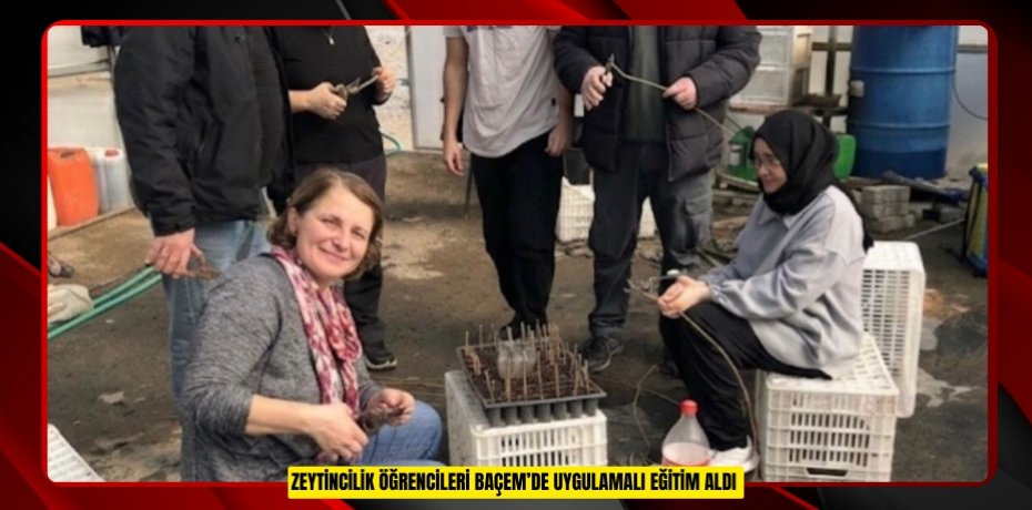 ZEYTİNCİLİK ÖĞRENCİLERİ BAÇEM’DE UYGULAMALI EĞİTİM ALDI