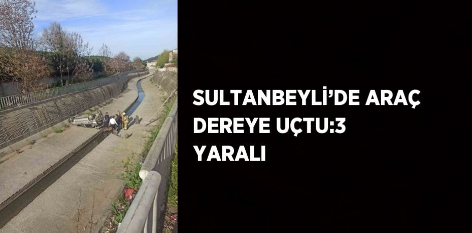 SULTANBEYLİ’DE ARAÇ DEREYE UÇTU:3 YARALI