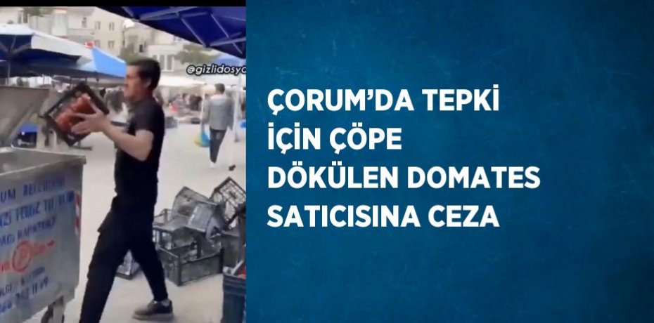 ÇORUM’DA TEPKİ İÇİN ÇÖPE DÖKÜLEN DOMATES SATICISINA CEZA