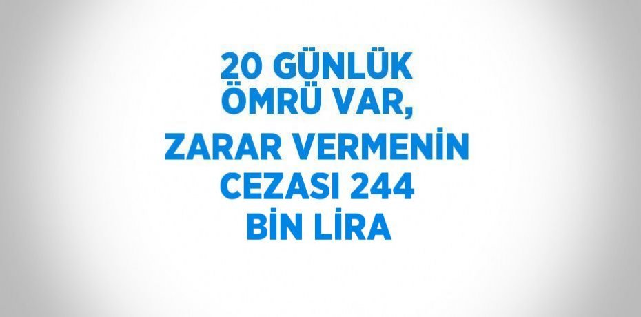 20 GÜNLÜK ÖMRÜ VAR, ZARAR VERMENİN CEZASI 244 BİN LİRA