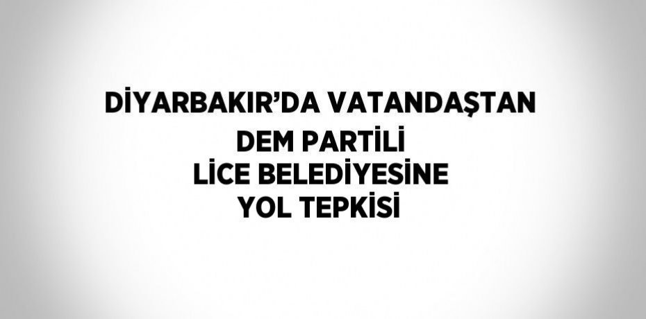 DİYARBAKIR’DA VATANDAŞTAN DEM PARTİLİ LİCE BELEDİYESİNE YOL TEPKİSİ