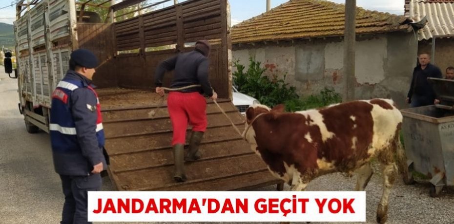 JANDARMA'DAN GEÇİT YOK