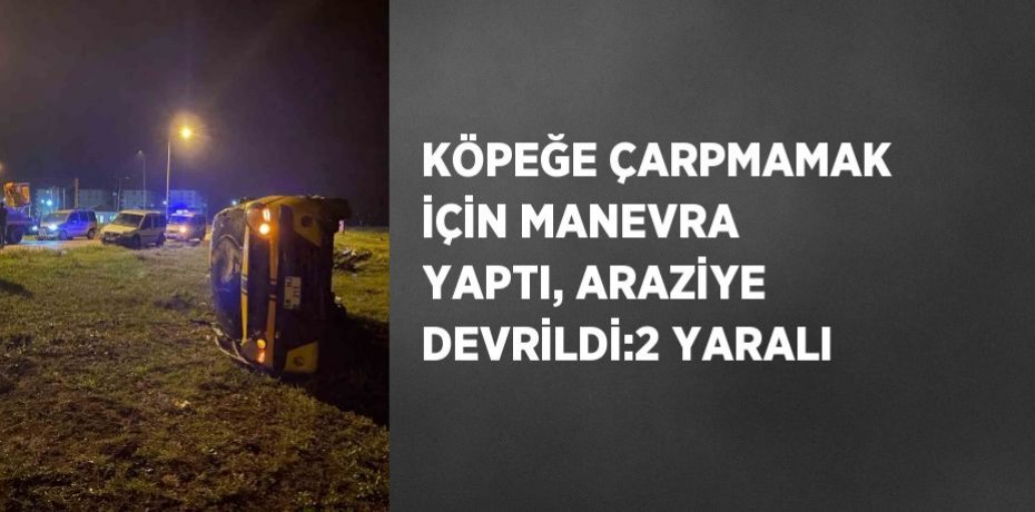 KÖPEĞE ÇARPMAMAK İÇİN MANEVRA YAPTI, ARAZİYE DEVRİLDİ:2 YARALI