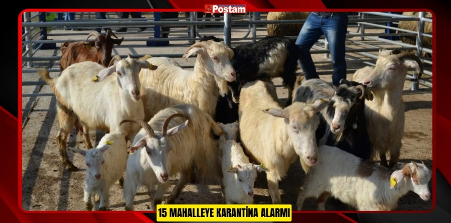 15 MAHALLEYE KARANTİNA ALARMI