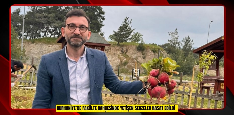 Burhaniye’de fakülte bahçesinde yetişen sebzeler hasat edildi  