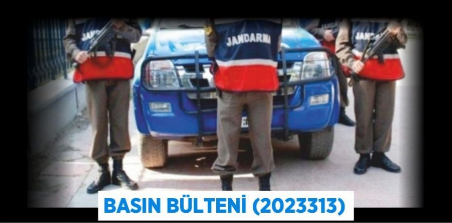Basın Bülteni (2023313)