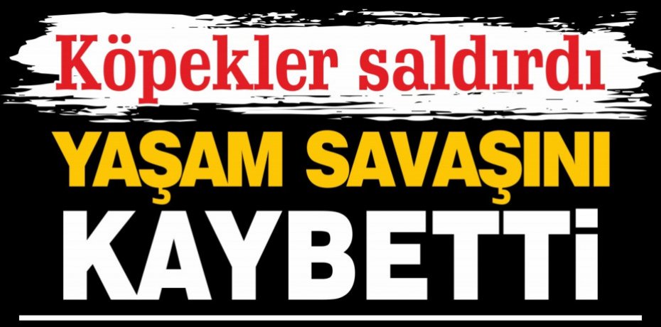 Köpekler saldırdı  YAŞAM SAVAŞINI KAYBETTİ...
