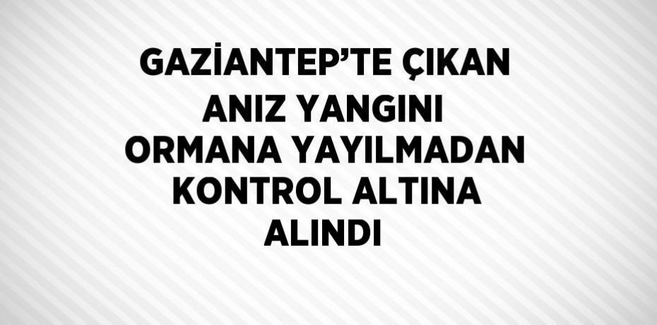 GAZİANTEP’TE ÇIKAN ANIZ YANGINI ORMANA YAYILMADAN KONTROL ALTINA ALINDI