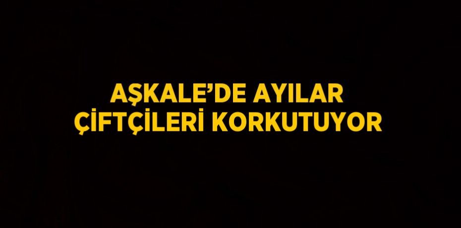 AŞKALE’DE AYILAR ÇİFTÇİLERİ KORKUTUYOR