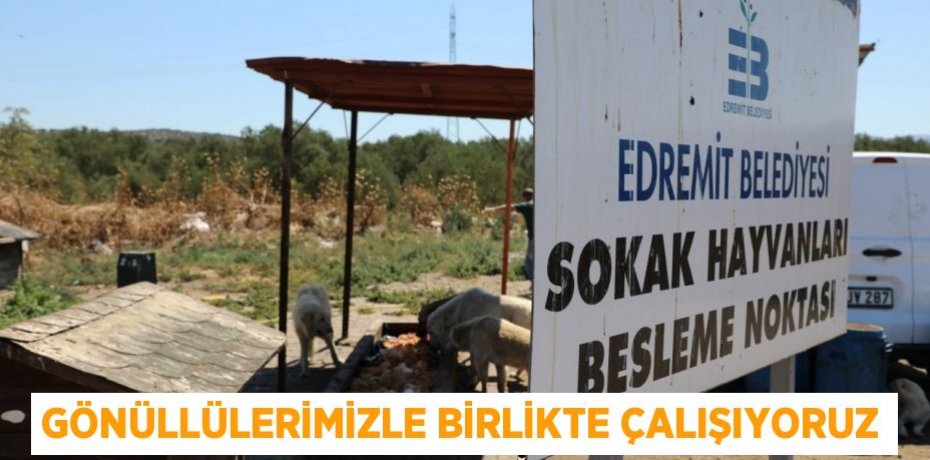 GÖNÜLLÜLERİMİZLE BİRLİKTE ÇALIŞIYORUZ