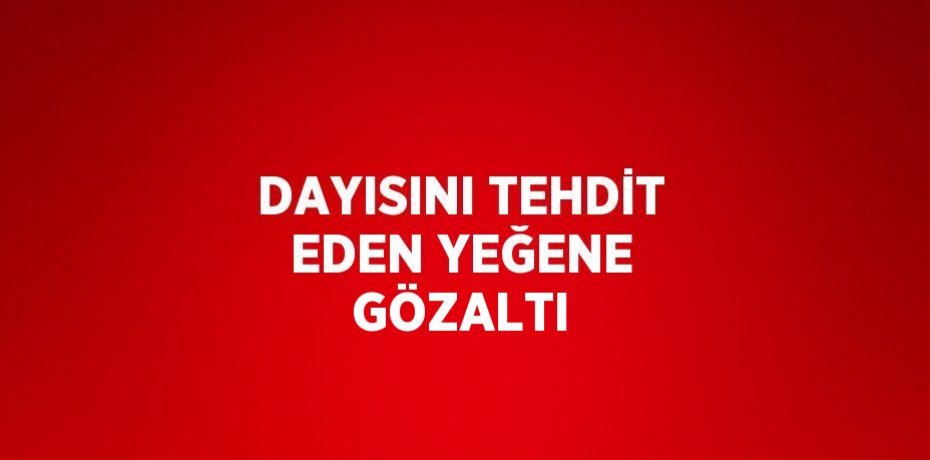 DAYISINI TEHDİT EDEN YEĞENE GÖZALTI