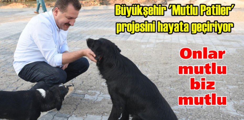 Büyükşehir ‘Mutlu Patiler’ projesini hayata geçiriyor