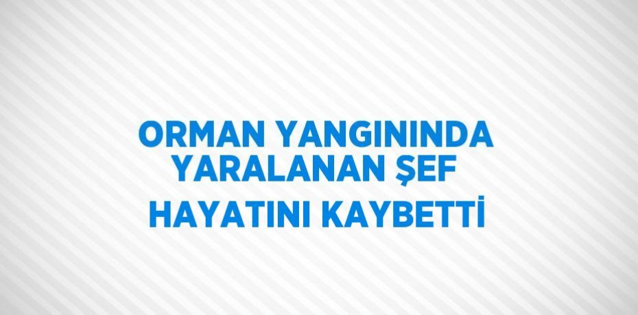 ORMAN YANGININDA YARALANAN ŞEF HAYATINI KAYBETTİ
