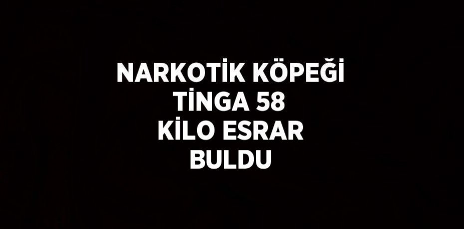 NARKOTİK KÖPEĞİ TİNGA 58 KİLO ESRAR BULDU