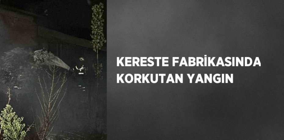 KERESTE FABRİKASINDA KORKUTAN YANGIN