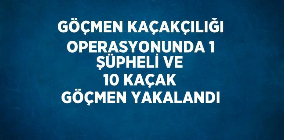 GÖÇMEN KAÇAKÇILIĞI OPERASYONUNDA 1 ŞÜPHELİ VE 10 KAÇAK GÖÇMEN YAKALANDI
