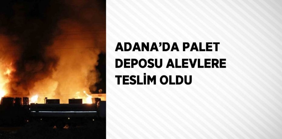 ADANA’DA PALET DEPOSU ALEVLERE TESLİM OLDU