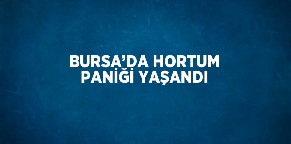 BURSA’DA HORTUM PANİĞİ YAŞANDI