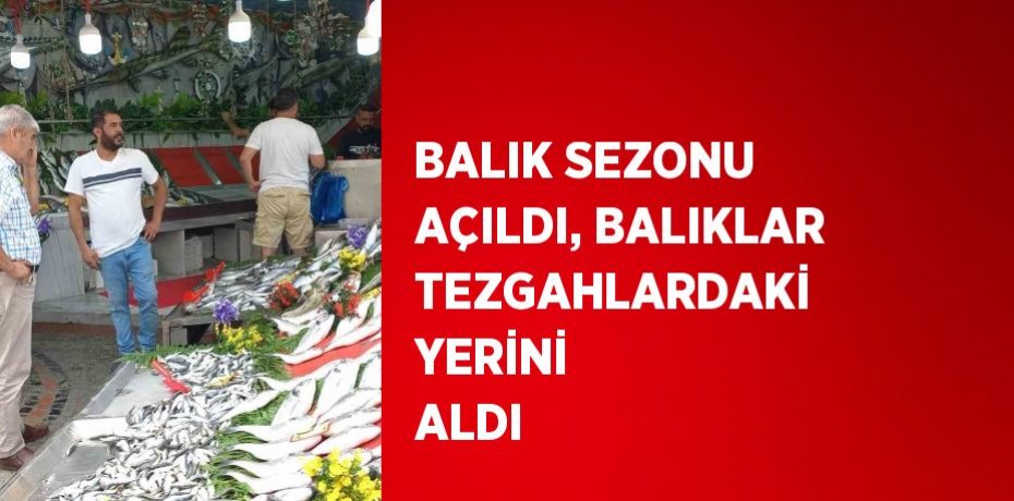 BALIK SEZONU AÇILDI, BALIKLAR TEZGAHLARDAKİ YERİNİ ALDI