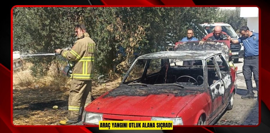 Araç yangını otluk alana sıçradı