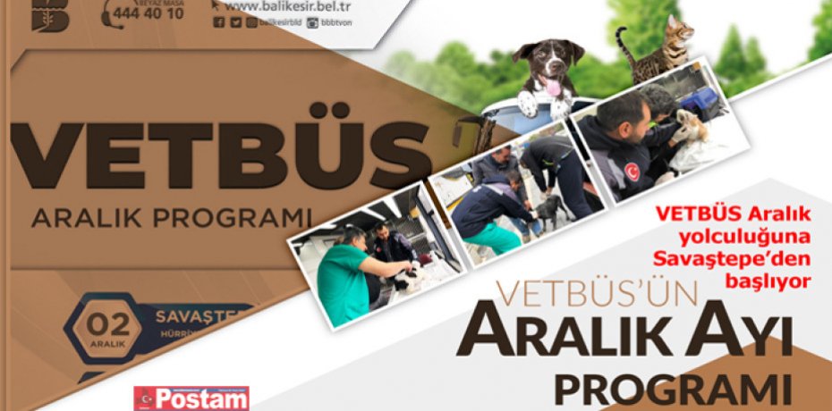 Sokak hayvanları VETBÜS’e emanet