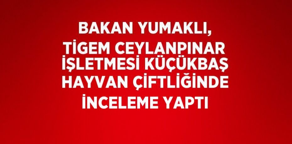 BAKAN YUMAKLI, TİGEM CEYLANPINAR İŞLETMESİ KÜÇÜKBAŞ HAYVAN ÇİFTLİĞİNDE İNCELEME YAPTI