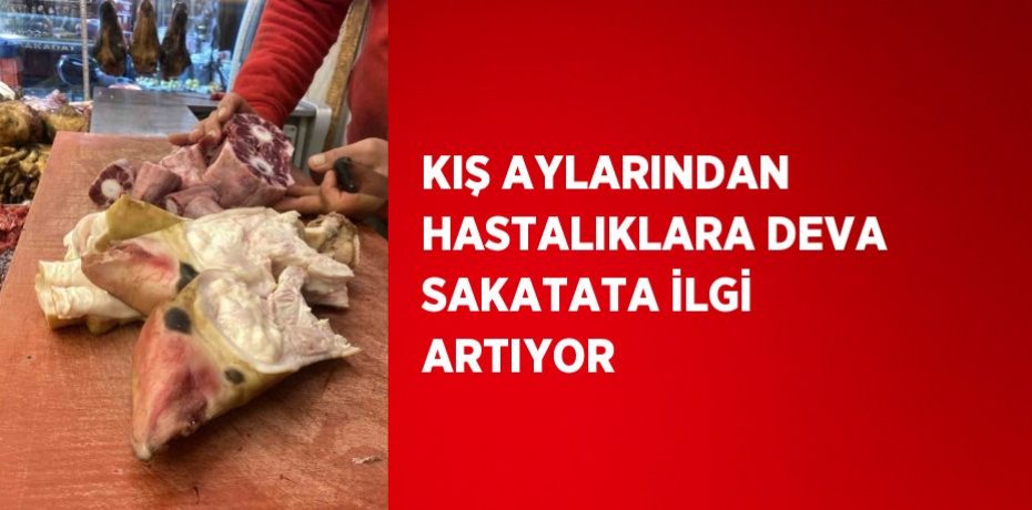 KIŞ AYLARINDAN HASTALIKLARA DEVA SAKATATA İLGİ ARTIYOR