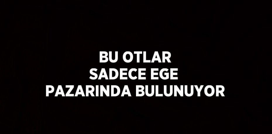 BU OTLAR SADECE EGE PAZARINDA BULUNUYOR