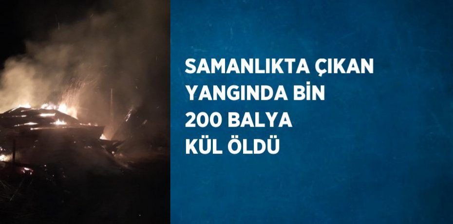 SAMANLIKTA ÇIKAN YANGINDA BİN 200 BALYA KÜL ÖLDÜ