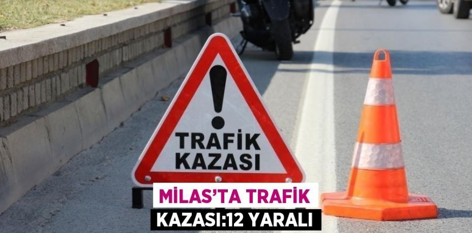 MİLAS’TA TRAFİK KAZASI:12 YARALI