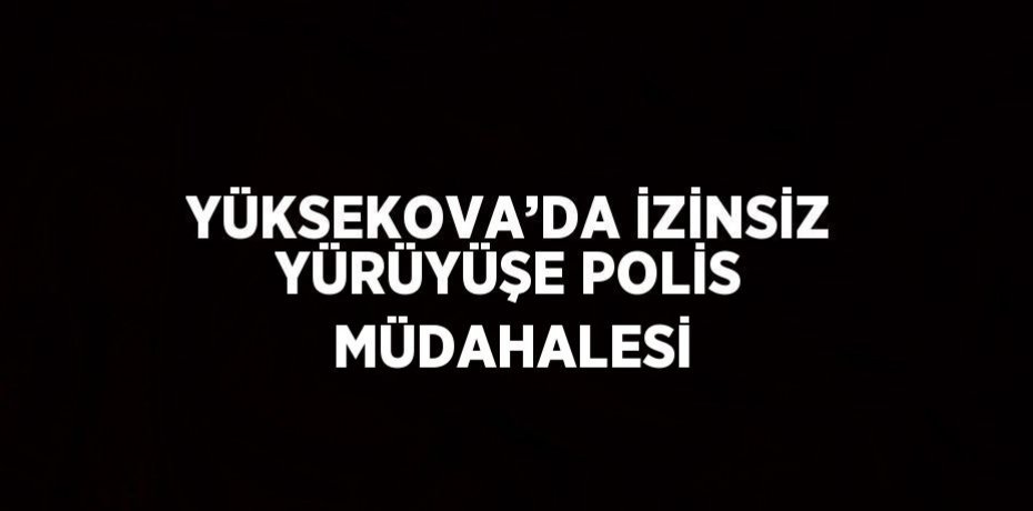 YÜKSEKOVA’DA İZİNSİZ YÜRÜYÜŞE POLİS MÜDAHALESİ