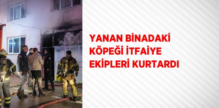 YANAN BİNADAKİ KÖPEĞİ İTFAİYE EKİPLERİ KURTARDI