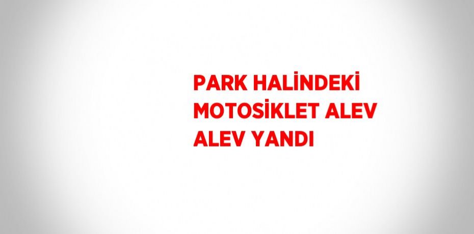 PARK HALİNDEKİ MOTOSİKLET ALEV ALEV YANDI