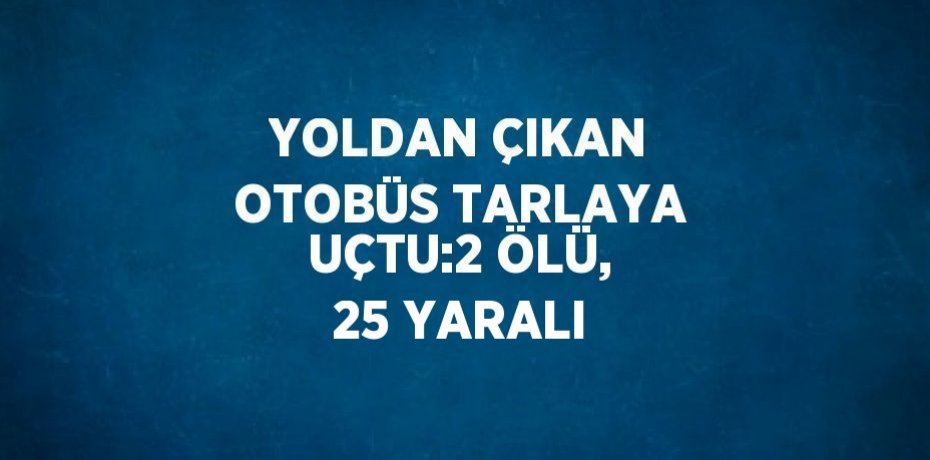 YOLDAN ÇIKAN OTOBÜS TARLAYA UÇTU:2 ÖLÜ, 25 YARALI
