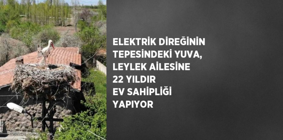 ELEKTRİK DİREĞİNİN TEPESİNDEKİ YUVA, LEYLEK AİLESİNE 22 YILDIR EV SAHİPLİĞİ YAPIYOR