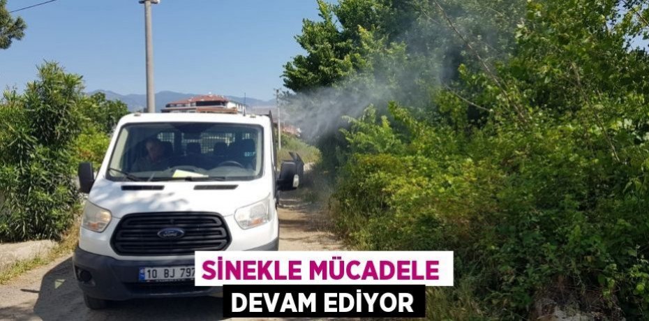 Sinekle mücadele devam ediyor