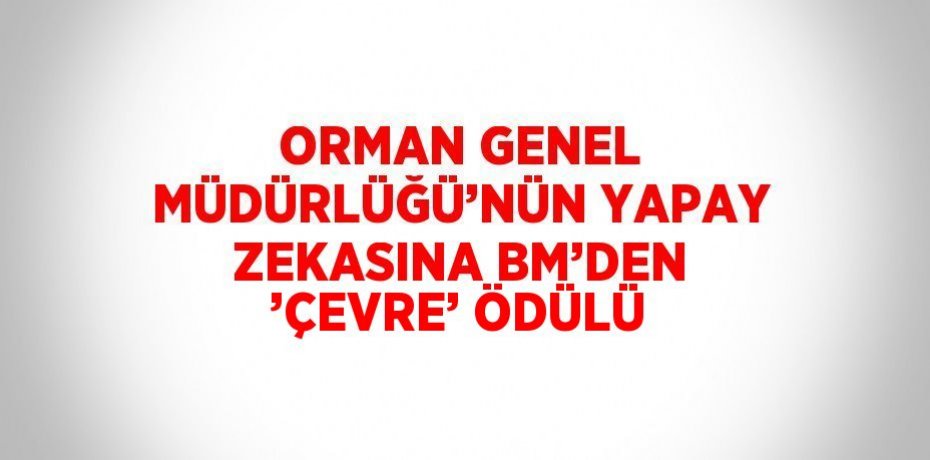 ORMAN GENEL MÜDÜRLÜĞÜ’NÜN YAPAY ZEKASINA BM’DEN ’ÇEVRE’ ÖDÜLÜ