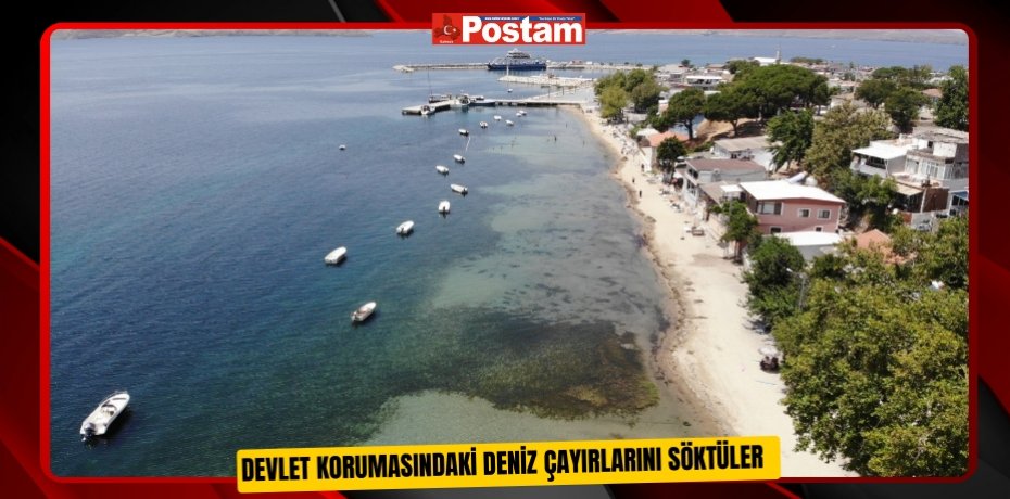 Devlet korumasındaki deniz çayırlarını söktüler  