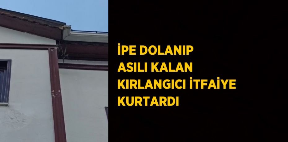 İPE DOLANIP ASILI KALAN KIRLANGICI İTFAİYE KURTARDI
