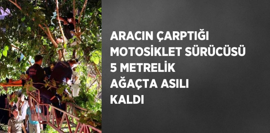 ARACIN ÇARPTIĞI MOTOSİKLET SÜRÜCÜSÜ 5 METRELİK AĞAÇTA ASILI KALDI