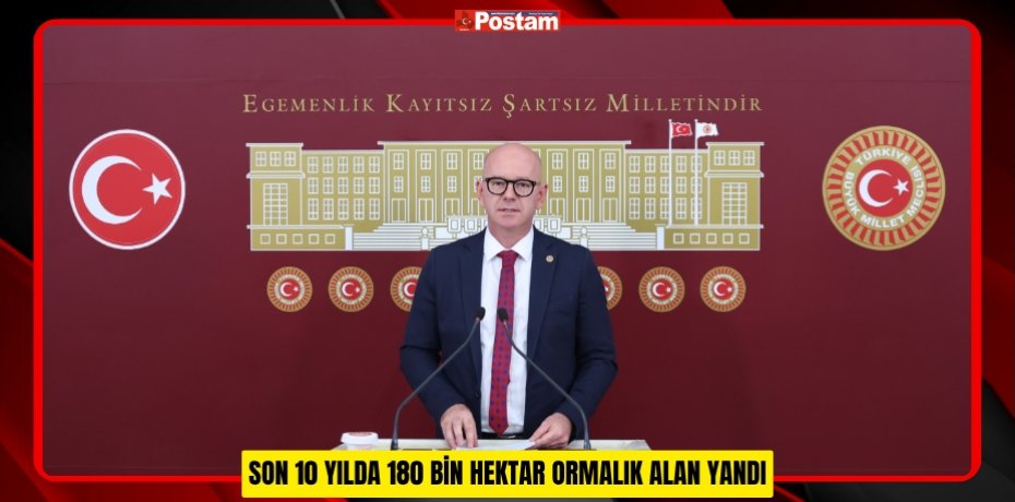 SON 10 YILDA 180 BİN HEKTAR ORMALIK ALAN YANDI