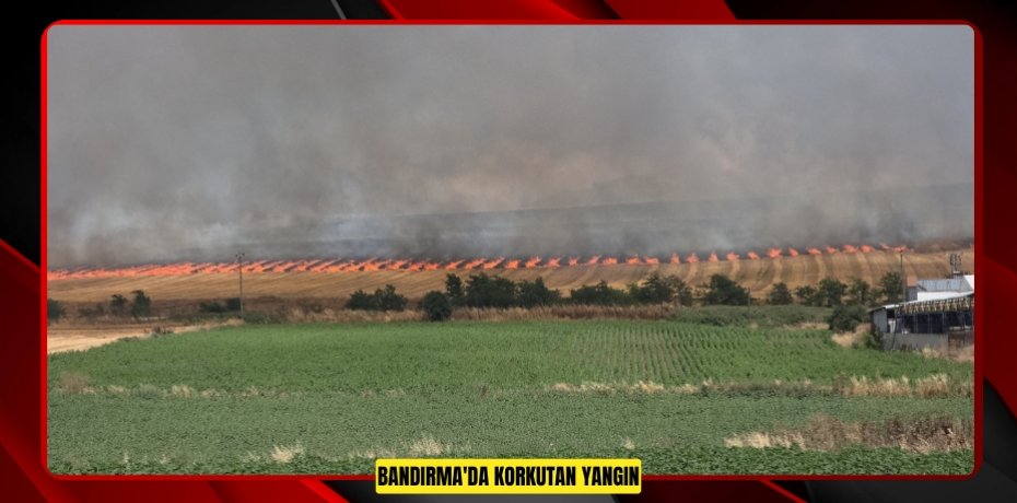 Bandırma'da korkutan yangın
