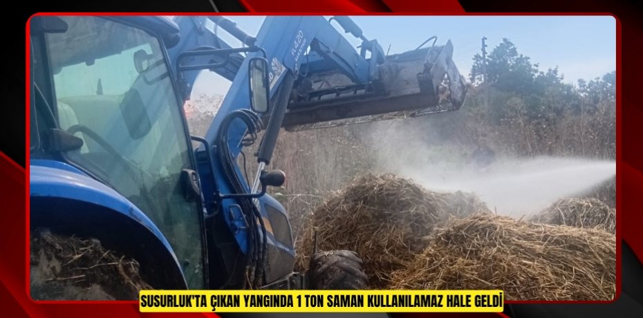 Susurluk'ta çıkan yangında 1 ton saman kullanılamaz hale geldi  