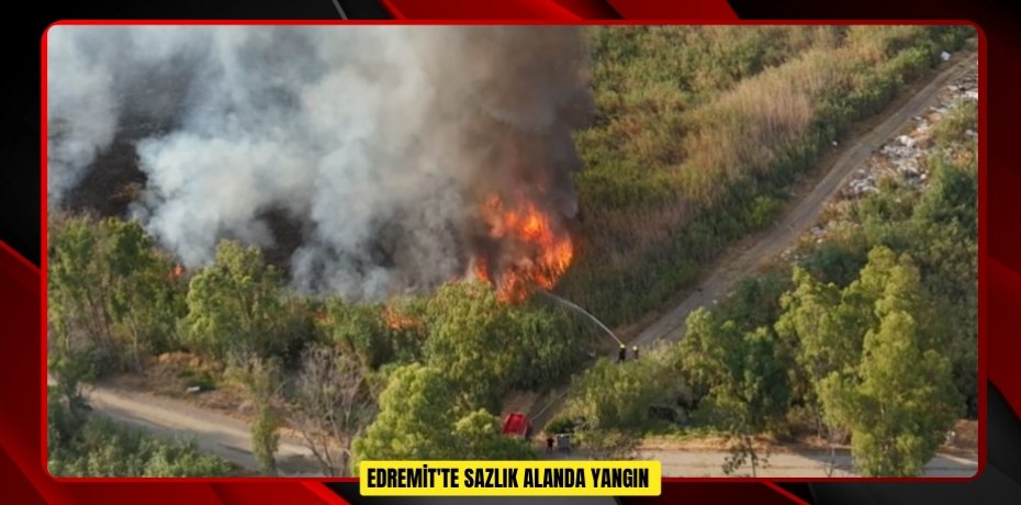 Edremit'te sazlık alanda yangın  