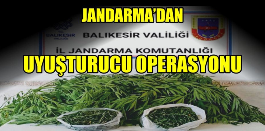 Jandarmadan uyuşturucu operasyonu