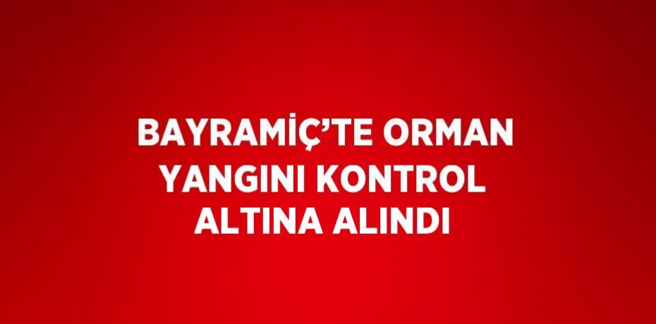 BAYRAMİÇ’TE ORMAN YANGINI KONTROL ALTINA ALINDI