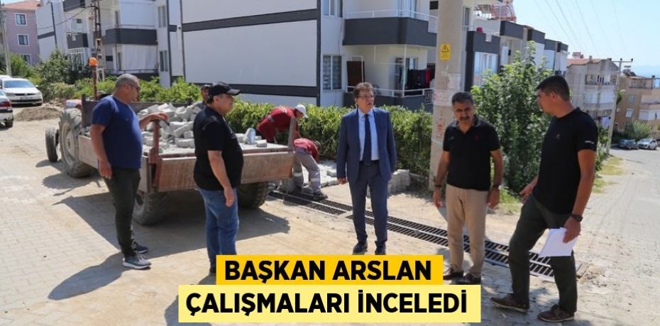 Başkan Arslan çalışmaları inceledi