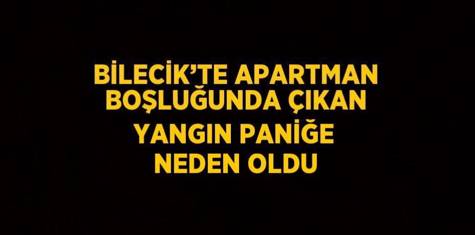 BİLECİK’TE APARTMAN BOŞLUĞUNDA ÇIKAN YANGIN PANİĞE NEDEN OLDU