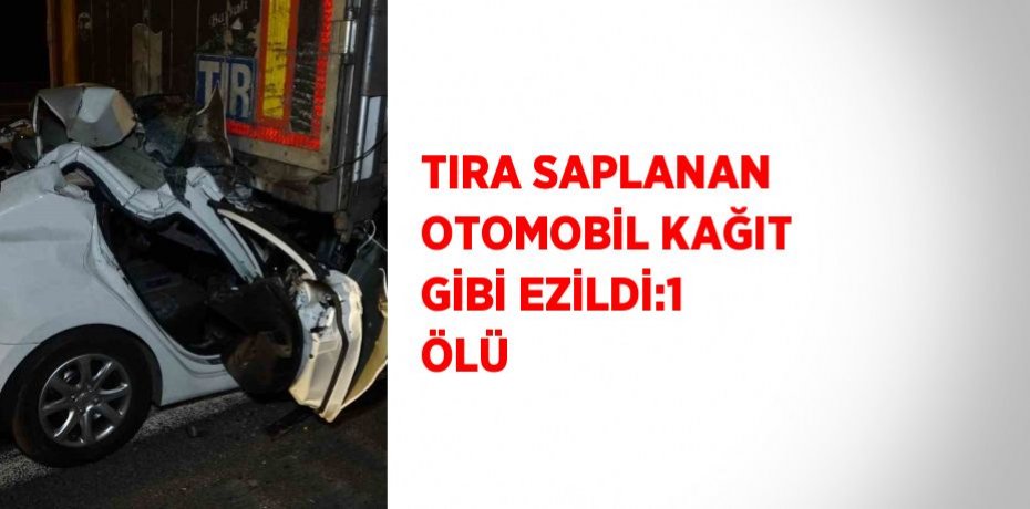TIRA SAPLANAN OTOMOBİL KAĞIT GİBİ EZİLDİ:1 ÖLÜ