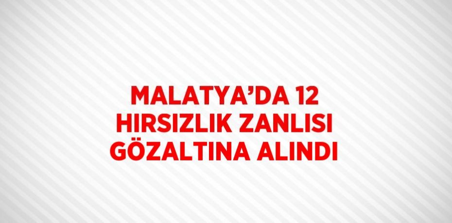 MALATYA’DA 12 HIRSIZLIK ZANLISI GÖZALTINA ALINDI